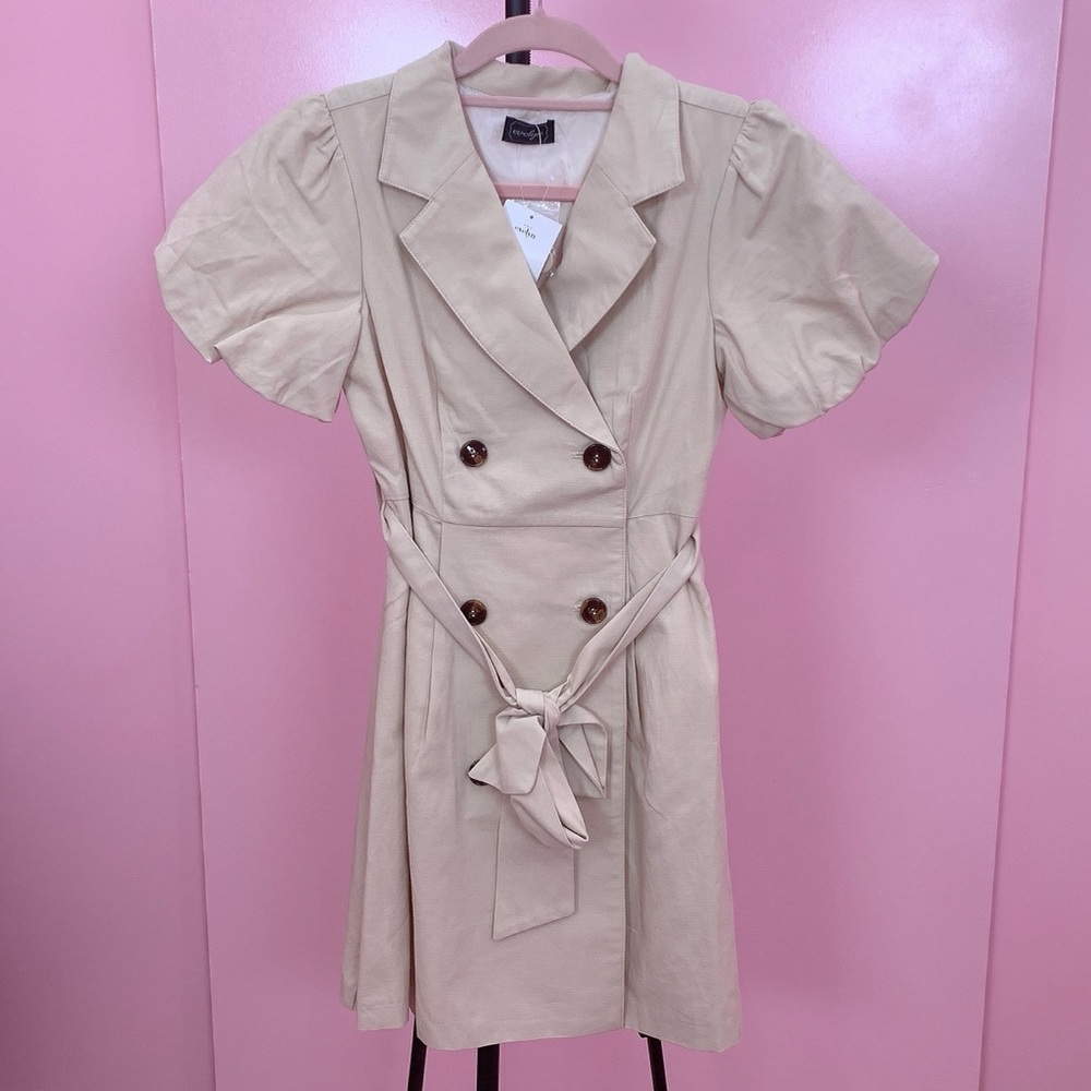 Trench Dress